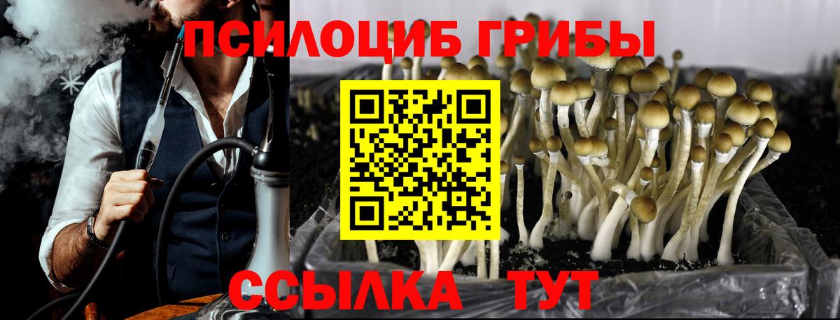 Галлюциногенные грибы мицелий Коломна